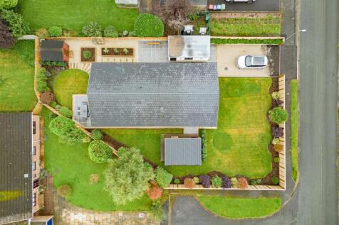 elevated photo.jpg
