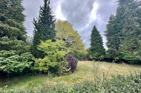image17.jpg