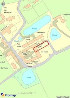 CORNFLOWER MEWS.jpg