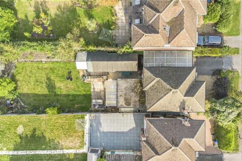 Birds Eye