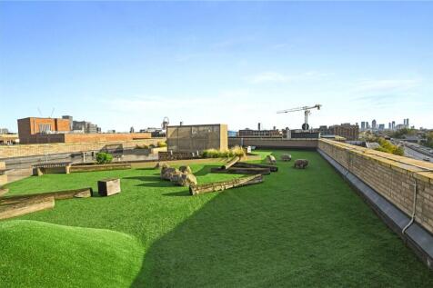 Roof Terrace