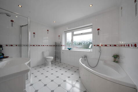 DSC06775_17283845...