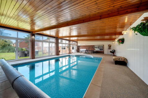 DSC06981_17283171...