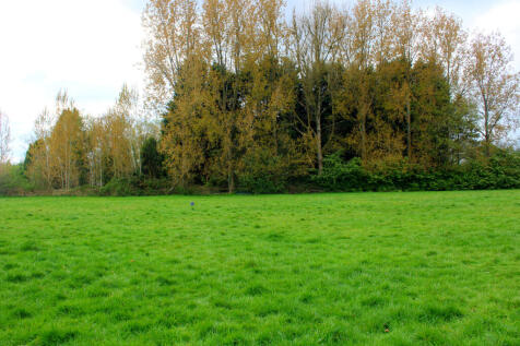 InShot_20250415_195943417