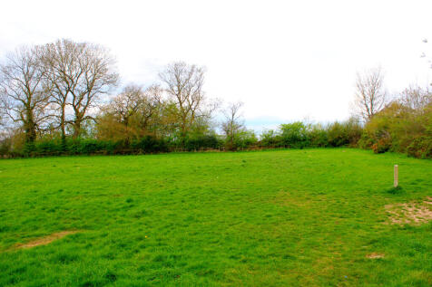 InShot_20250415_200210024