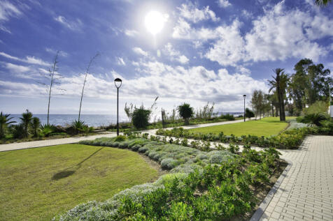 Property Image 37