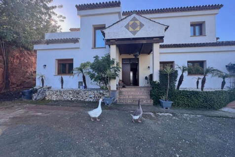 Property Image 31