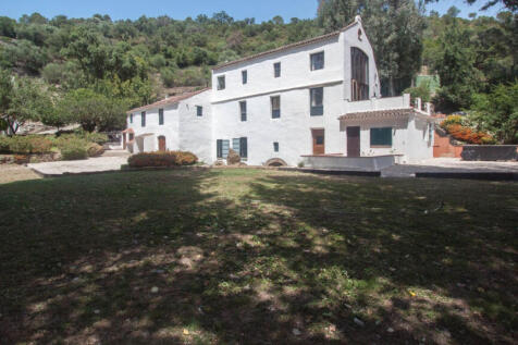Property Image 39
