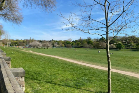 Screenshot 2025-10-18 104449.png