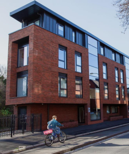 Screenshot 2025-11-27 161411.png