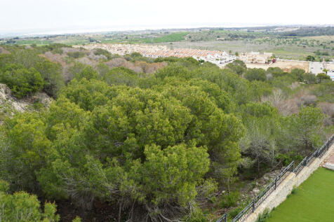 Property Image 60