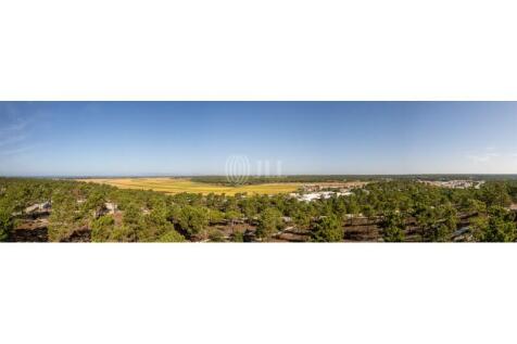Sights