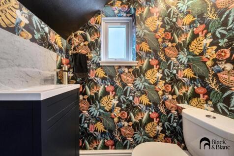 Downstairs Toliet