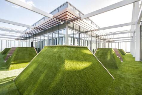 Roof Terrace