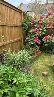Garden C