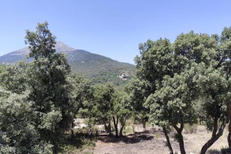 Property Image 65