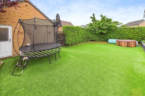 Lawn area in the garden