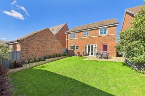 Rear of the Property