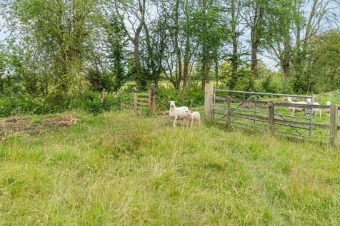 Property Image 84