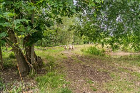 Property Image 90