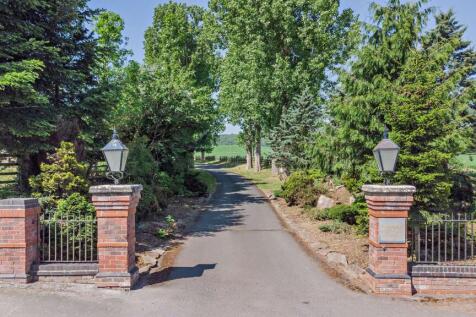 Long tree lined driveway