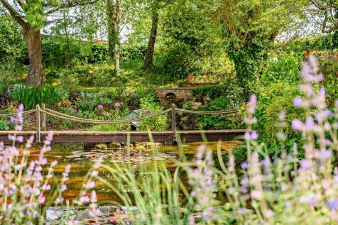 Wildlife Pond