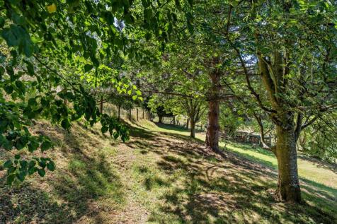 woodland