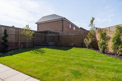 Back Garden