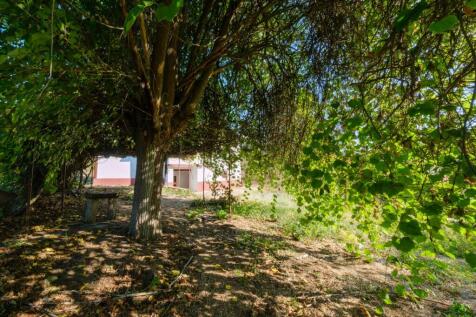 1200 SQM Land
