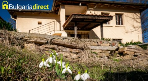 Property Image 21