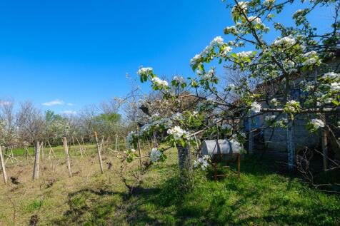 Property Image 64