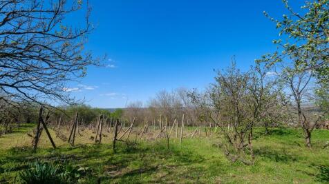 Property Image 66