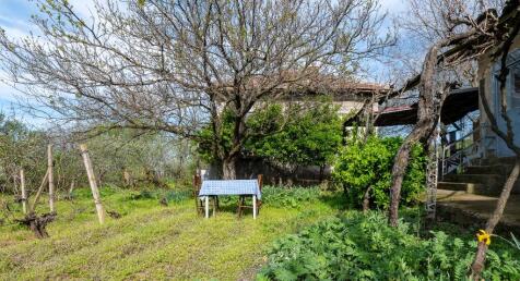 Property Image 68