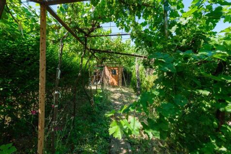 Property Image 104