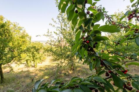 Property Image 63