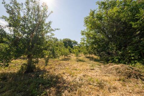 Property Image 66