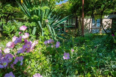 Property Image 90