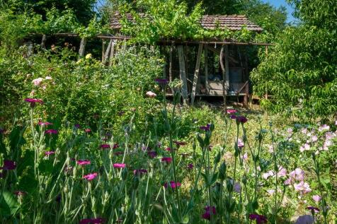 Property Image 94