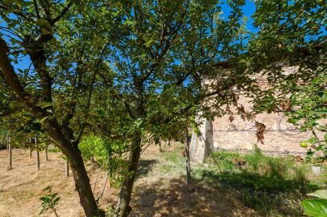 Property Image 60