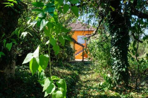 Property Image 60