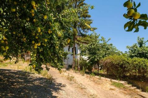 Property Image 80