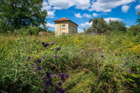 Property Image 22