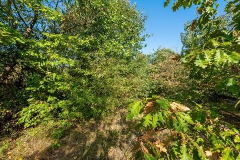 Property Image 59