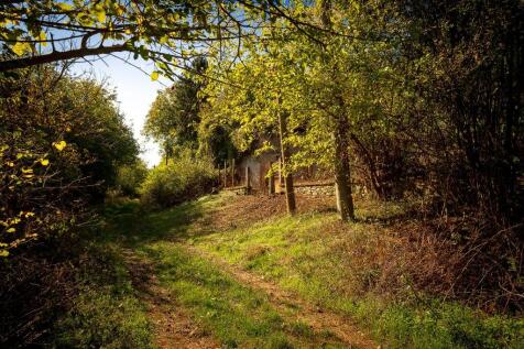 Property Image 54