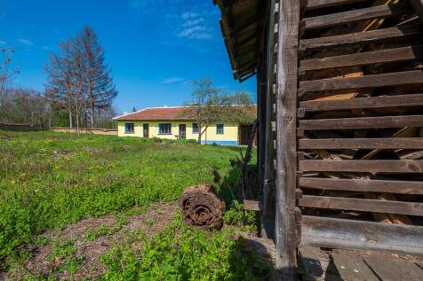 Wood Store