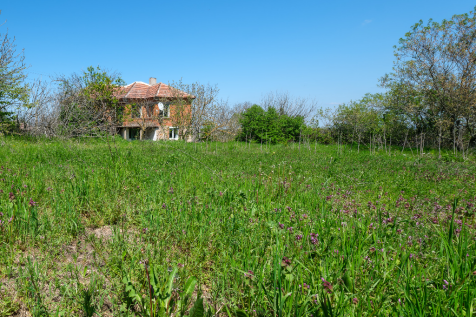 Property Image 8
