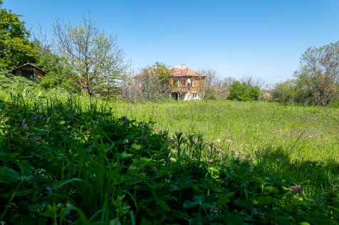Property Image 23