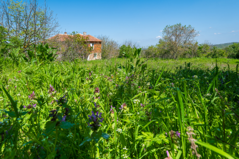 Property Image 34