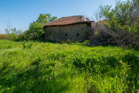 Property Image 38