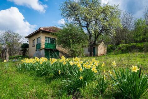 Property Image 5